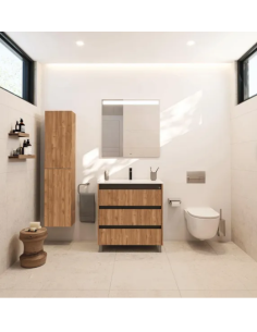Muebles y Elementos de baño Roca