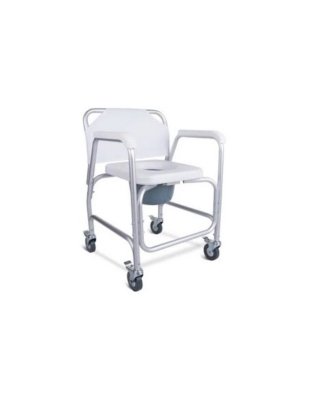 Cadira WC ortopedia