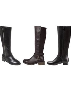 Botes adult