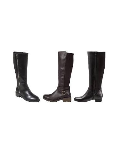 Botes adult