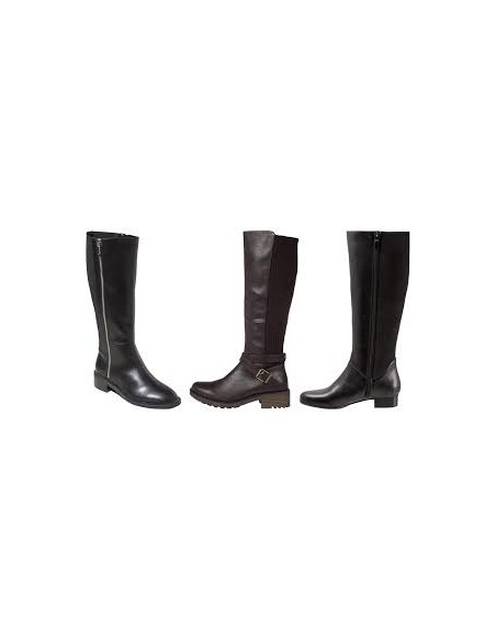 Botes adult Botes adult